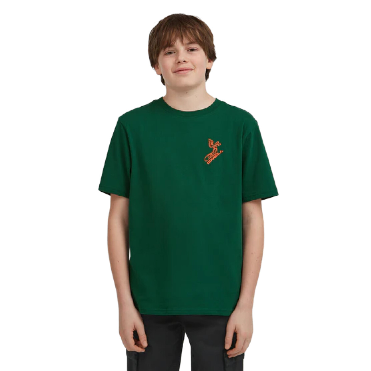 Remera Oneill Frozen Wave - Verde 