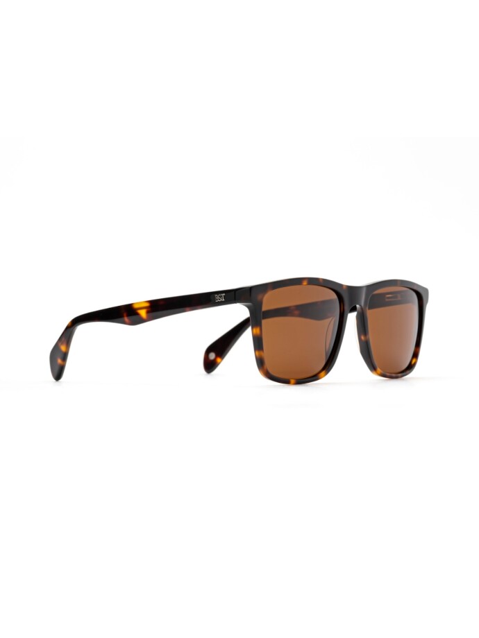 SUNGLASSES AMALFI CAREY C2