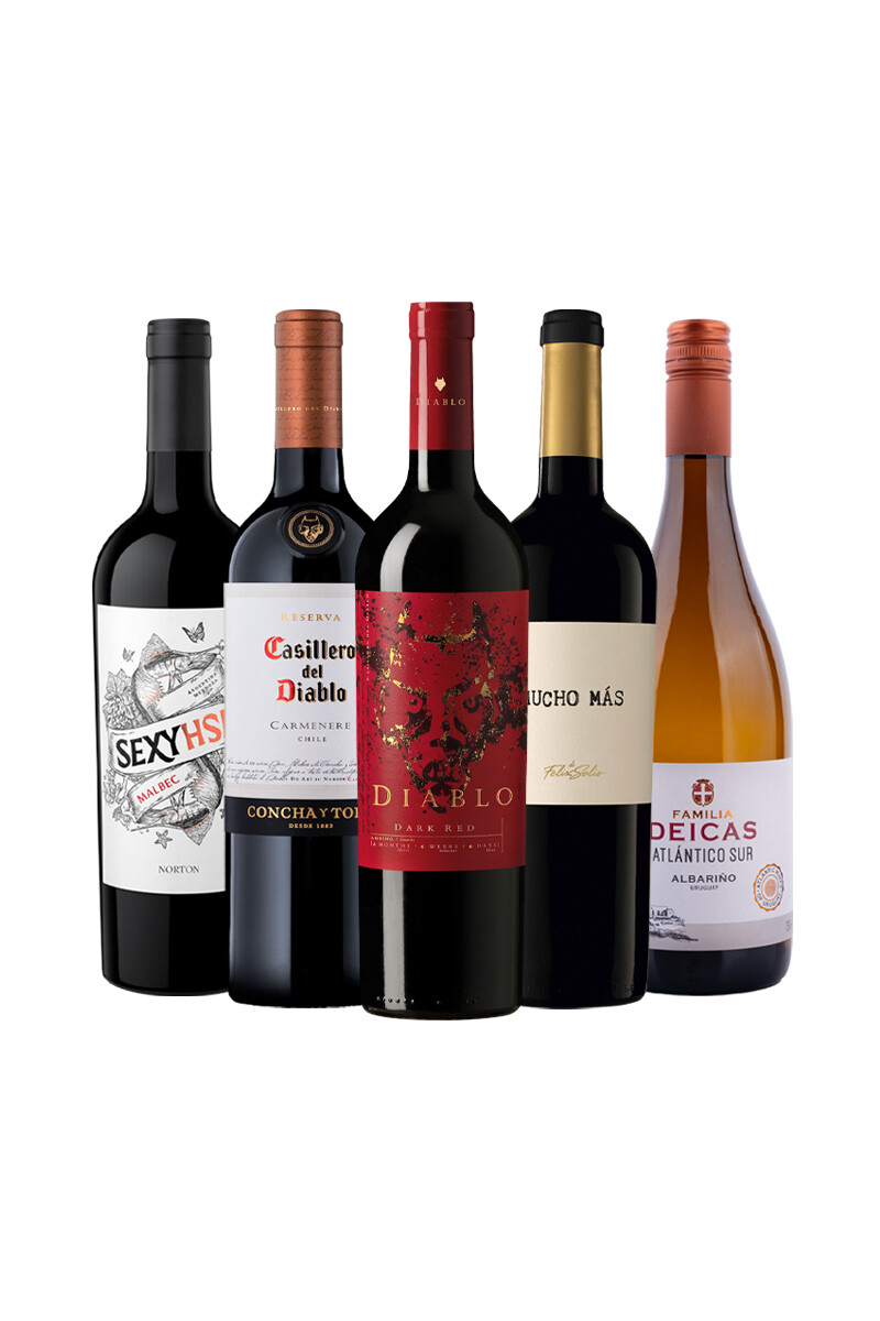 Pack Bacán Selección x5 vinos Recomendados de Octubre 