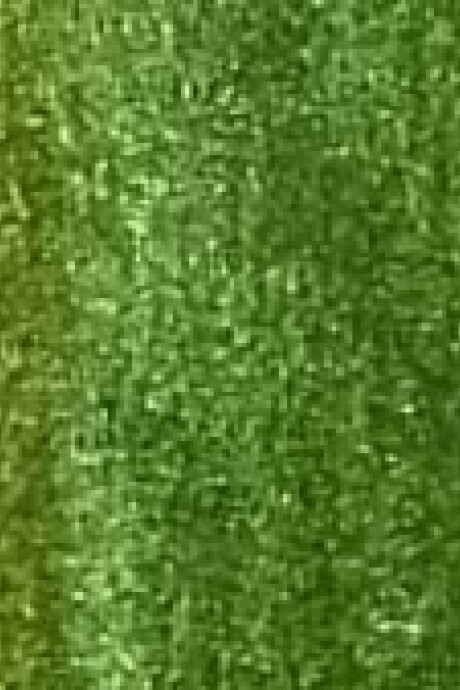 PANTALON METALIZADO AMARANTO Verde