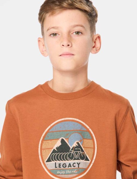 REMERA ESTAMPADA Terracota