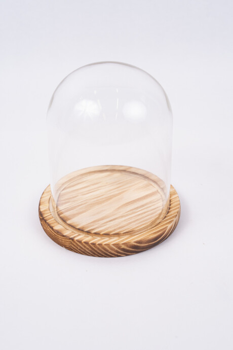 Terrario Ser Color Unico