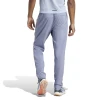 Pantalón Adidas Terrex Violeta