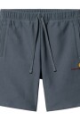 American Script Sweat Short Azul