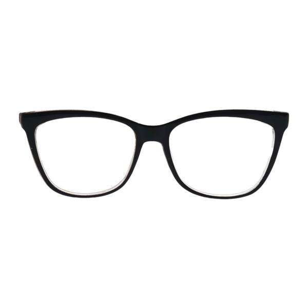 VV298521 negrocombinado