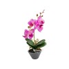 ORQUIDEA FUCSIA C/MACETERO 9X24CM Unica