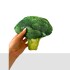 Juguete Brócoli con Chifle Juguete Brócoli con Chifle
