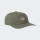 Gorro Dickies Low Pro Logo Dad Verde