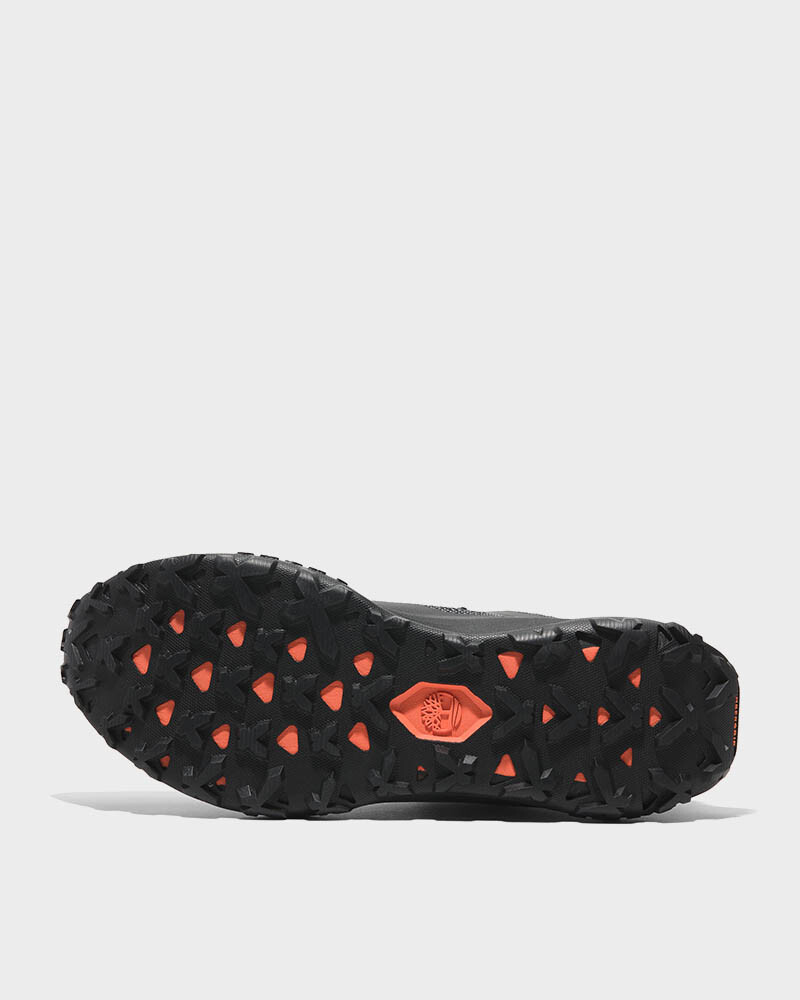 Zapatilla Low Lace Up Hombre Enq