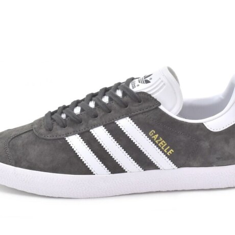 Champion Adidas Moda Hombre Gazelle S/C