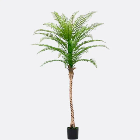 Palmera Alta 140 cm de Alto Palmera Alta 140 cm de Alto