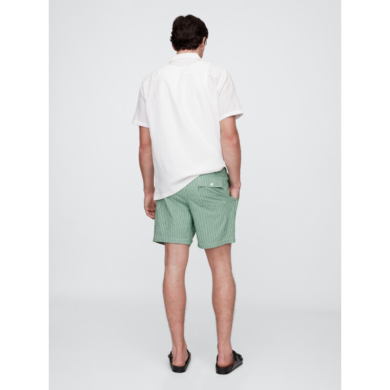 V-6IN SWIM TRUNK GREEN STRIPE