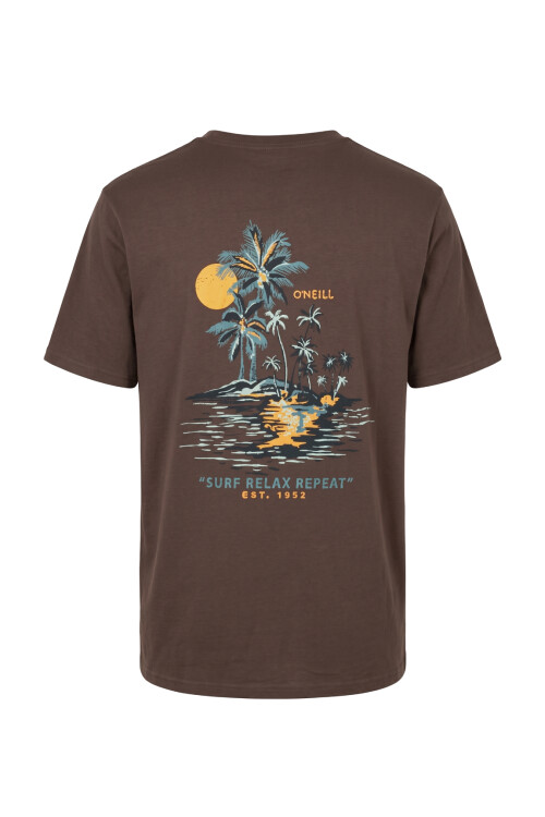 Remera O'Neill Oceanside Marrón