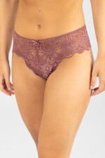 Colaless aster Rosa antique