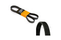 6PK1124ELASTINA Correa Elástica de Accesorios Mercedes Benz Sprinter 6PK1124ELASTINA Correa Elástica de Accesorios Mercedes Benz Sprinter