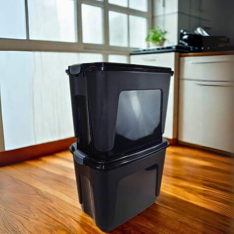 Set x2 Caja organizadora 65 lts NEGRO