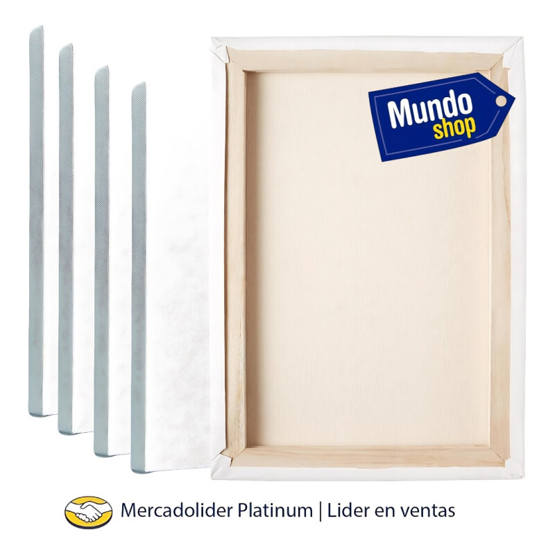 Pack X 5 Lienzo Bastidor 40x50m Cuadro Pintura Oleo Blanco Blanco