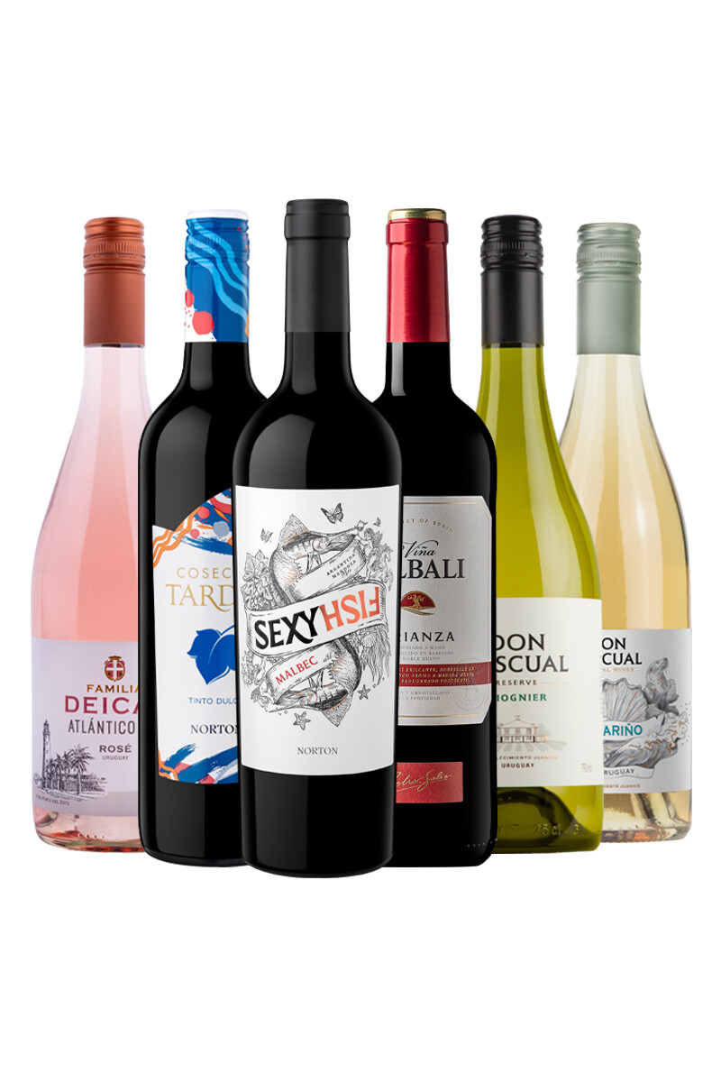 Pack Selección Bloom Season x6 vinos Frutales y Florales 