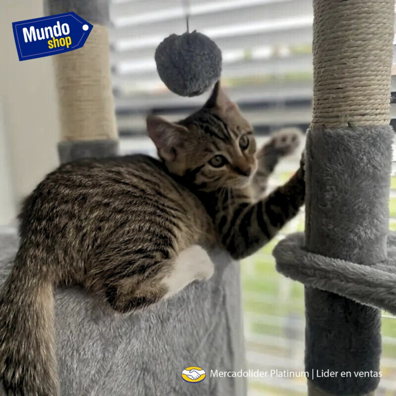 Rascador Torre 5 Niveles En Felpa Y Sisal Para Gato Juego Negro