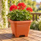 Maceta mediana cuadrada 4,3 lts TERRACOTA