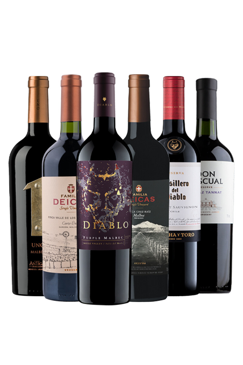 Pack Selección Best Seller de Junio x6 vinos tintos intensos 