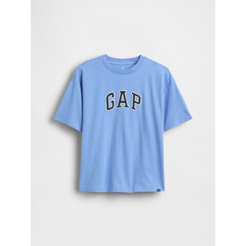 FR RELAXED SS LOGO T SHIRTING BLUE