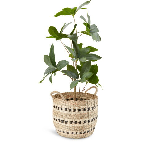Planta Artificial Tristan A90Cm
