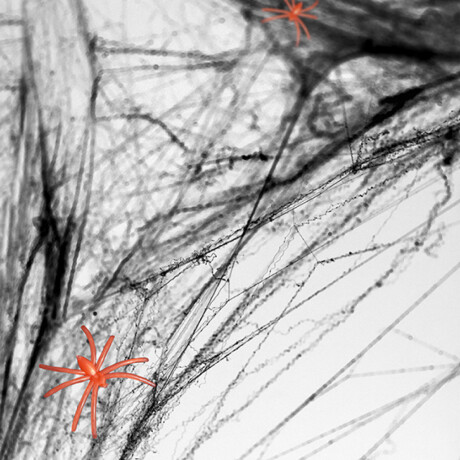 Telaraña decorativa con arañas Negro