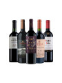 Pack Bacán Favoritos del año por intensidad y carácter x6 vinos Pack Bacán Favoritos del año por intensidad y carácter x6 vinos