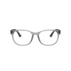 Ray Ban Rb7253l 8420