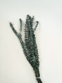 Deco Floral Eucalyptus, Seco Color Unico