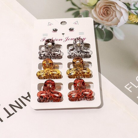 Set De Broches x6 Colores Fuertes Marrón