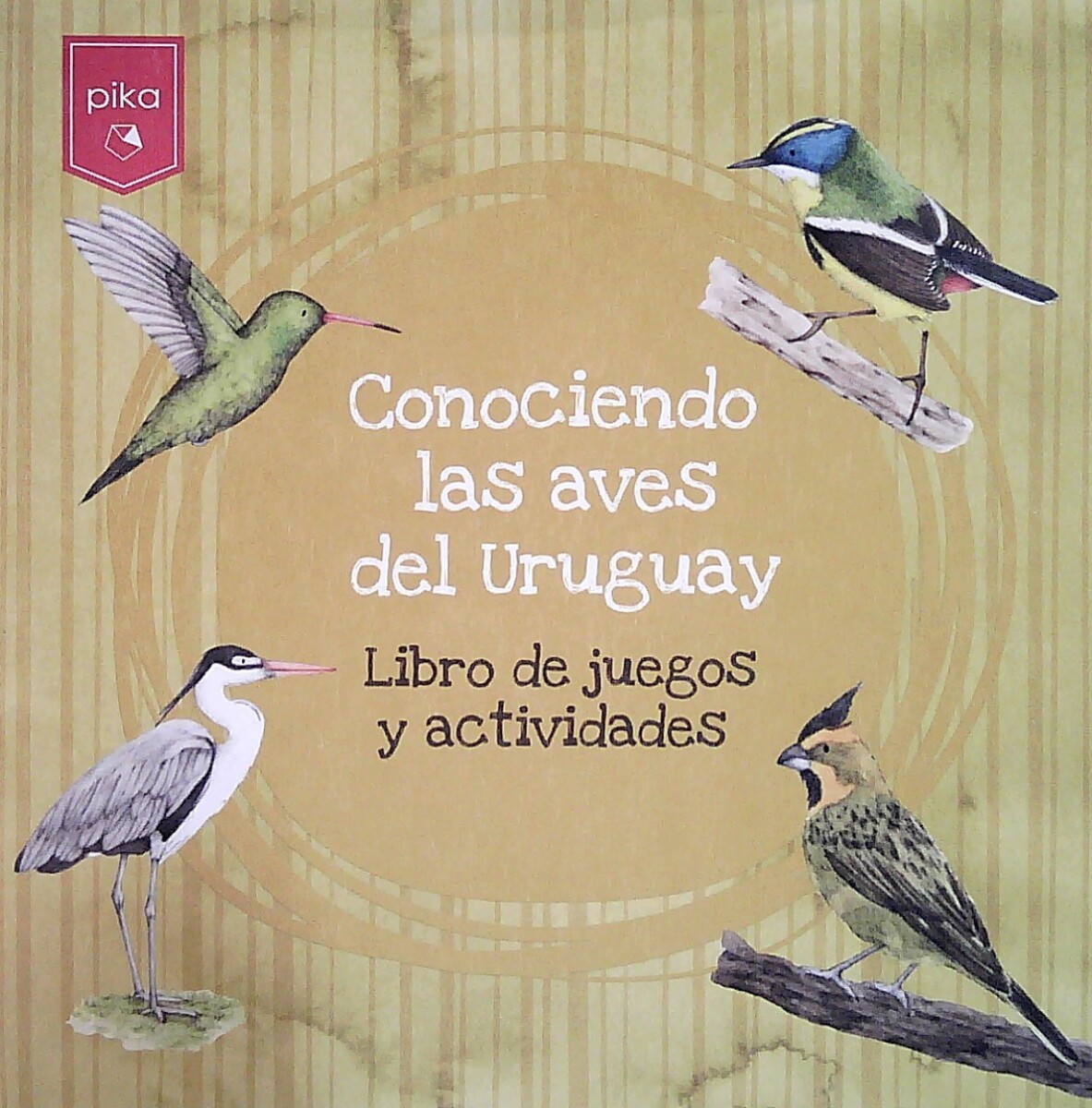 CONOCIENDO LAS AVES DEL URUGUAY 