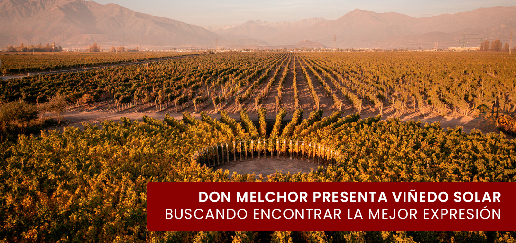Viña Don Melchor presenta inédito “Viñedo Solar”