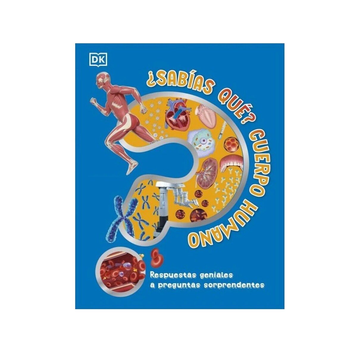 Sabías Qué? Cuerpo Humano 