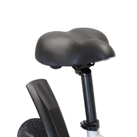 Bicicleta Eléctrica Plegable Gyroor EB028 R20 para Adultos Negro