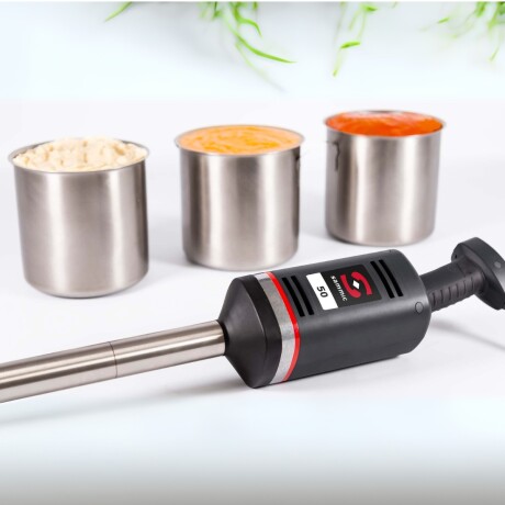 Mixer Triturador Profesional brazo 42 cm 80L Mixer Triturador Profesional brazo 42 cm 80L