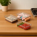 ORGANIZADOR ACRILICO CON TAPA 34X21,5X5,5CM ORGANIZADOR ACRILICO CON TAPA 34X21,5X5,5CM