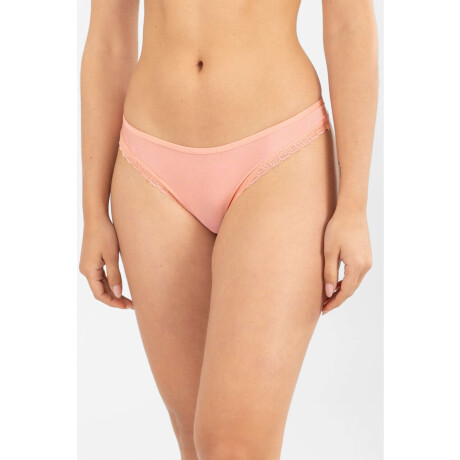 Colaless etna Soft coral