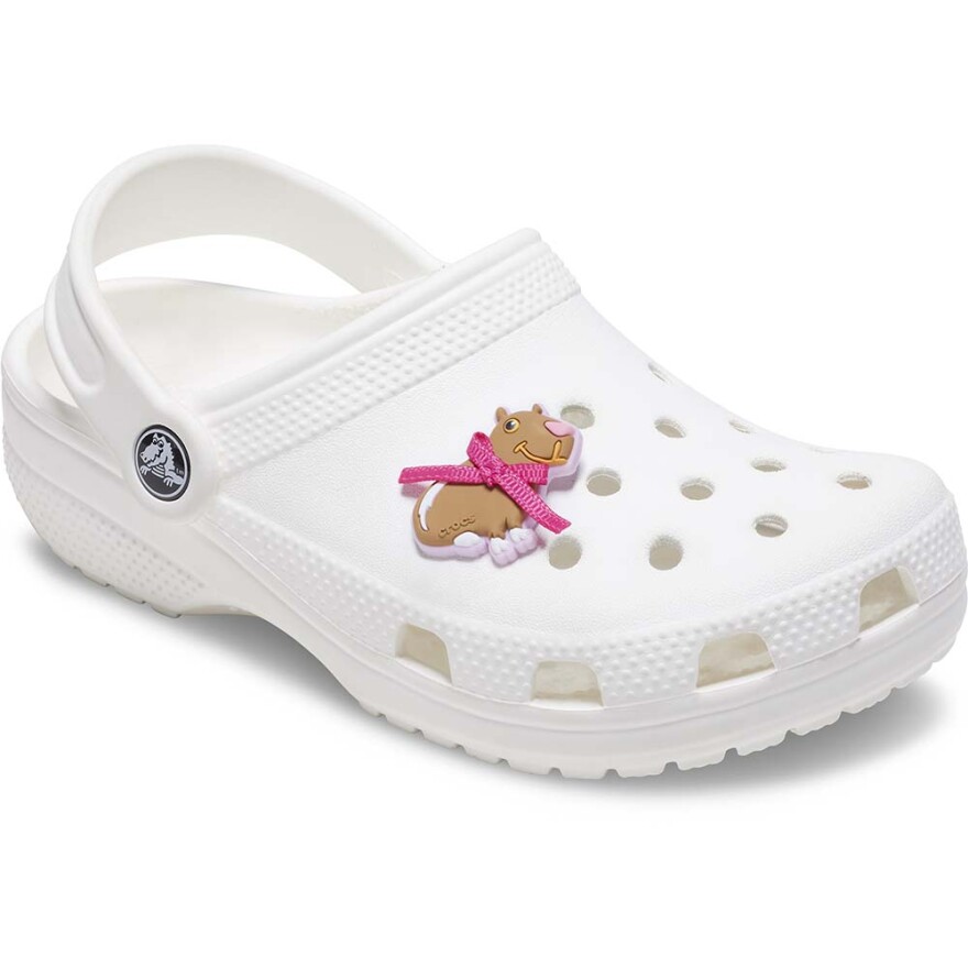 Jibbitz Coquette Capybara Multicolor