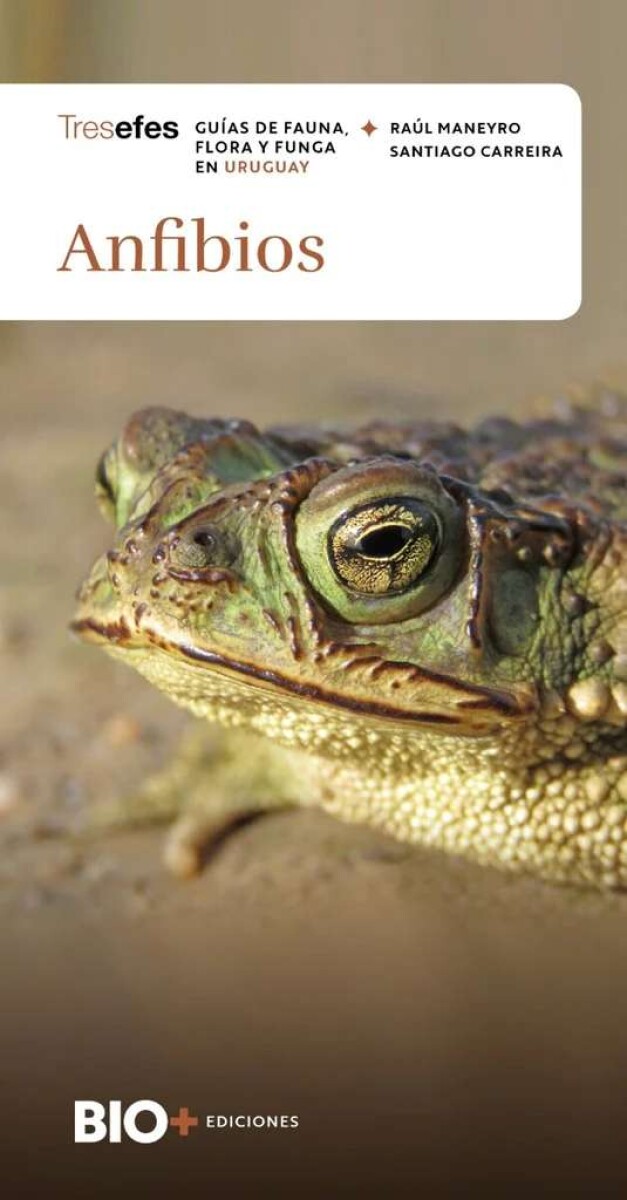 Anfibios 