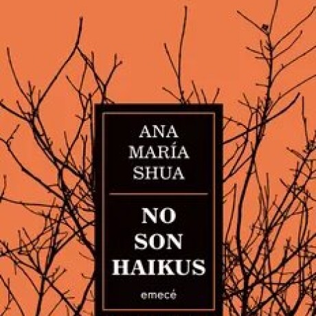 NO SON HAIKUS NO SON HAIKUS