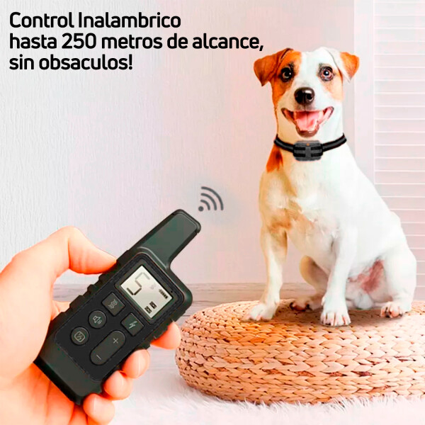 Collar Antiladridos Control Remoto Sumergible Entrenamiento Variante Color Negro