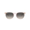 Ray Ban Rb4171 Erika 6742/11