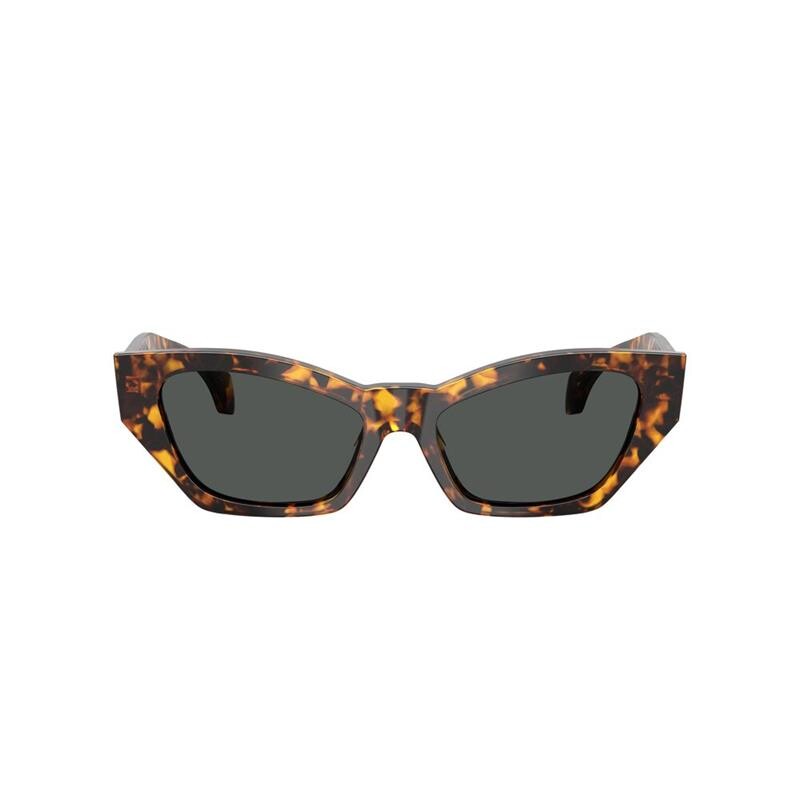 Versace Ve4488u 5514/87