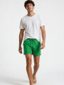 Short Terrier Menta