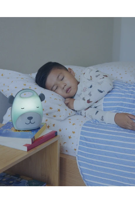 Luz nocturna portátil, diseño oso Luz nocturna portátil, diseño oso