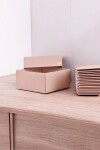 Pack x 20 unid - Caja 04 12X12X6 cm Laminada NUDE