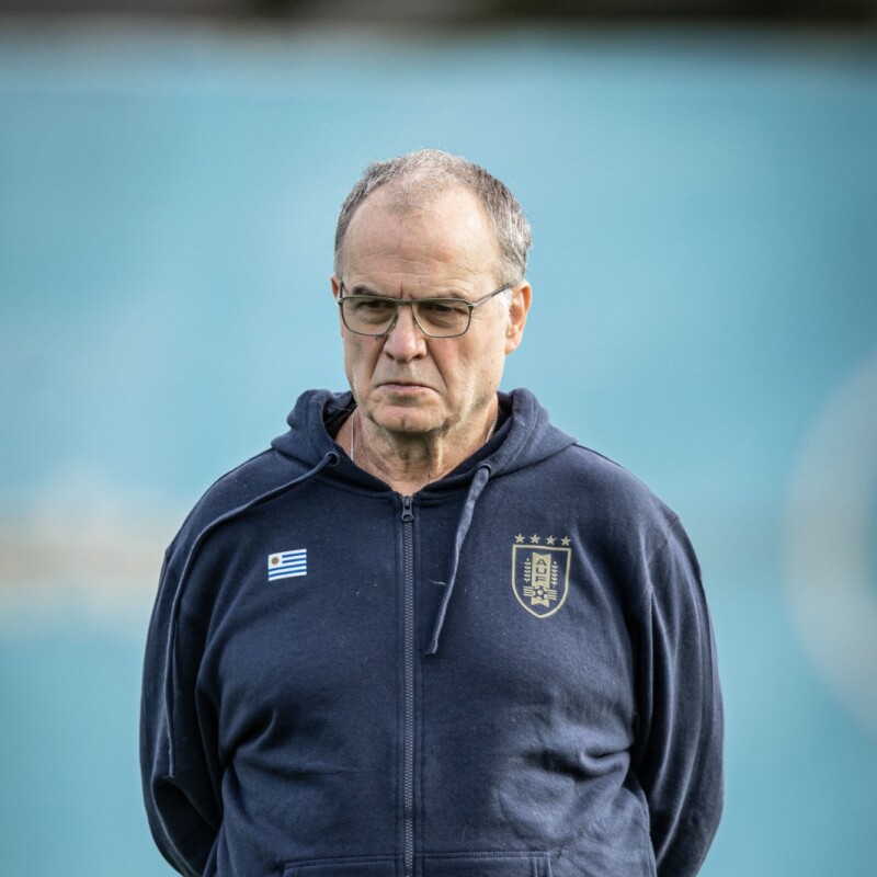 Canguro de Concentración - AUF Canguro de Concentración - AUF