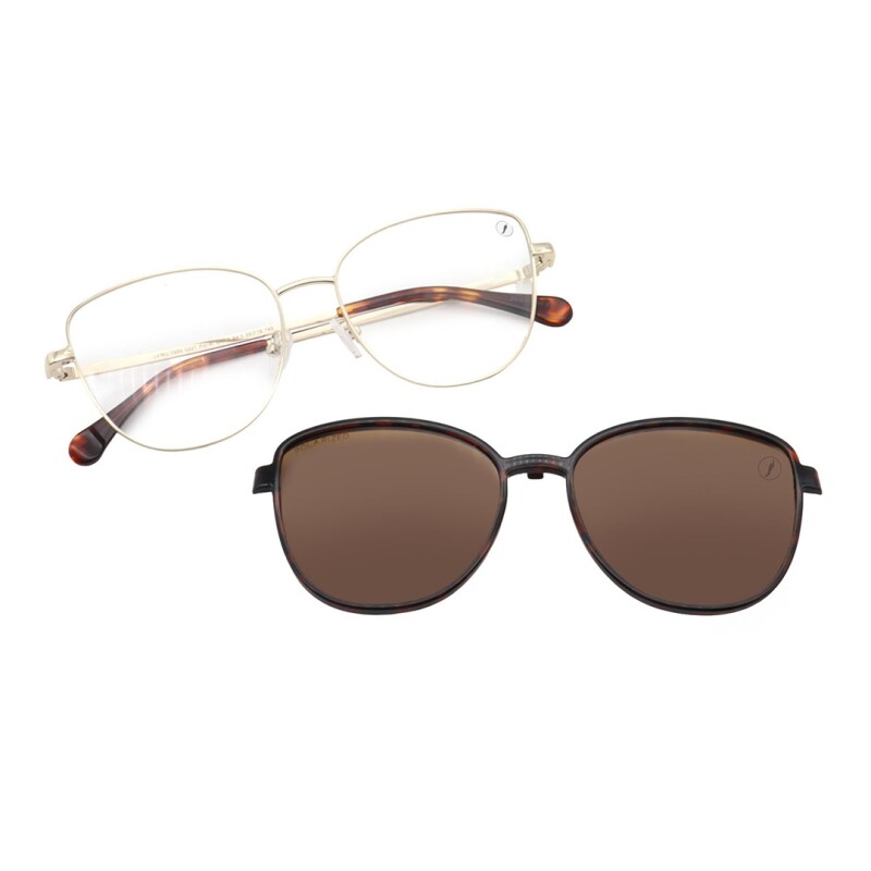 Armazón Chilli Beans São Gabriel más intercambiables de Sol Dorado - Animal Print